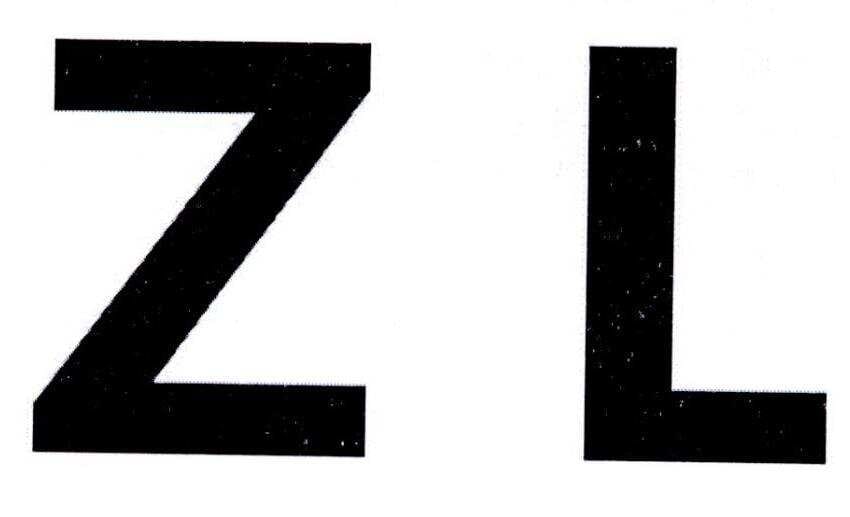 ZL大写